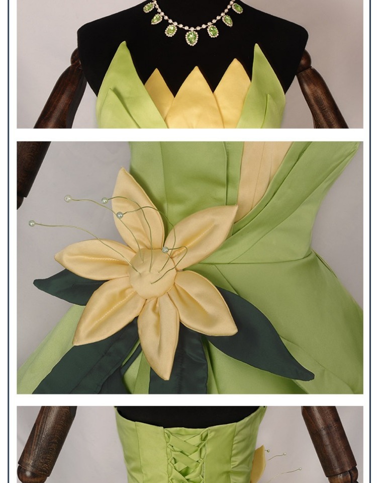Princess Tiana Dress Cosplay C - Men'S Accessories For Christmas 评论和价格