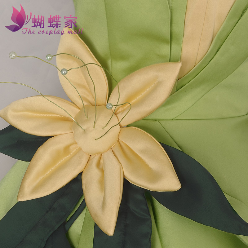 Princess Tiana Dress Cosplay C - Men'S Accessories For Christmas 评论和价格