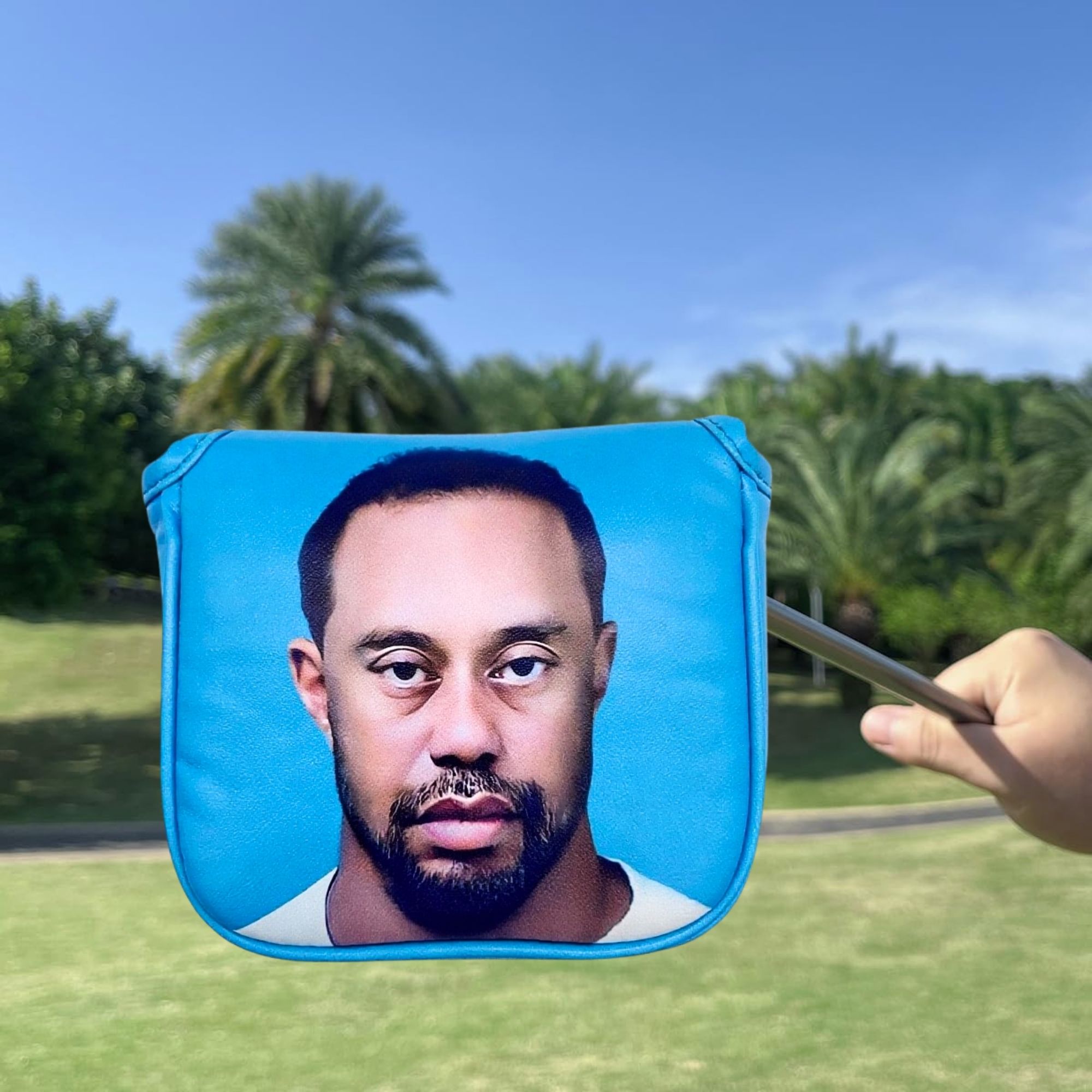 Funny Golf Mallet Putter Head  - Men'S Accessories For Christmas 评论和价格